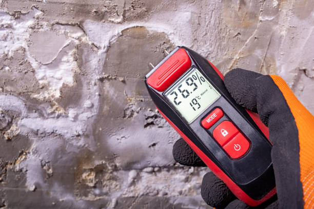 Mold Removal Process in Andalusia, IL