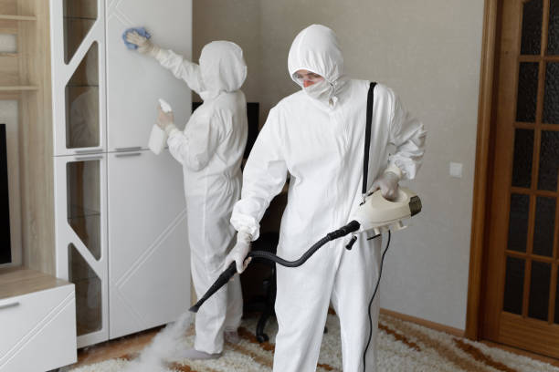Mold Removal Process in Andalusia, IL